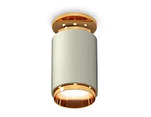 Светильник накладной Techno spot XS6314121 Ambrella light серый 1 лампа, основание золотое в стиле современный круглый