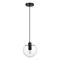 Светильник подвесной Noor SL1056.403.01 ST-Luce прозрачный 1 лампа, основание чёрное в стиле современный шар