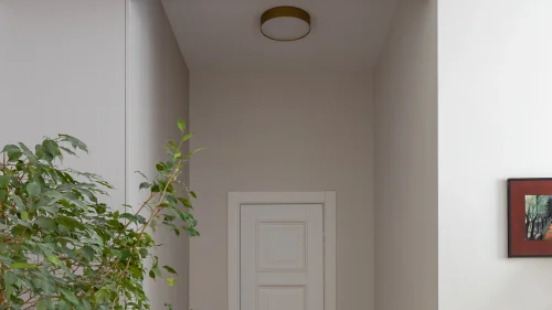 Светильник потолочный LED Zon C032CL-36W4K-RD-MG Maytoni белый на 1 лампу, основание матовое золото в стиле современный круглый тарелка фото 4
