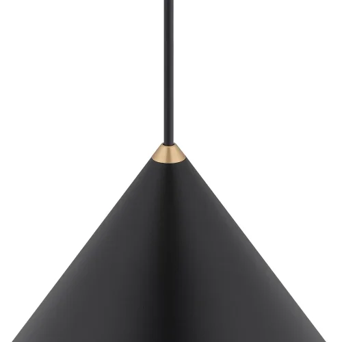 Светильник подвесной Zenith L 8005-NW Nowodvorski чёрный на 1 лампу, основание чёрное в стиле лофт фото 3