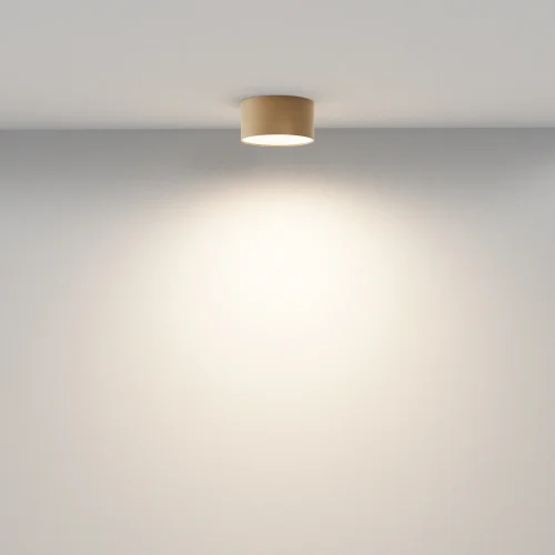 Светильник накладной LED Zon C032CL-12W3K-RD-MG Maytoni белый на 1 лампу, основание матовое золото в стиле современный фото 9