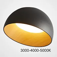Светильник потолочный BARA A D50 Black Трехцветный свет 223995-23 ImperiumLoft чёрный на 1 лампу, основание коричневое в стиле современный скандинавский минимализм 