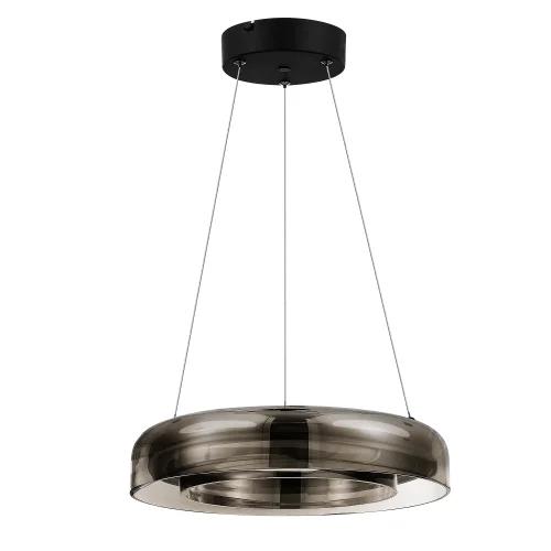 Светильник подвесной LED Foray SL6019.323.01 ST-Luce чёрный серый 1 лампа, основание латунь в стиле современный  фото 2