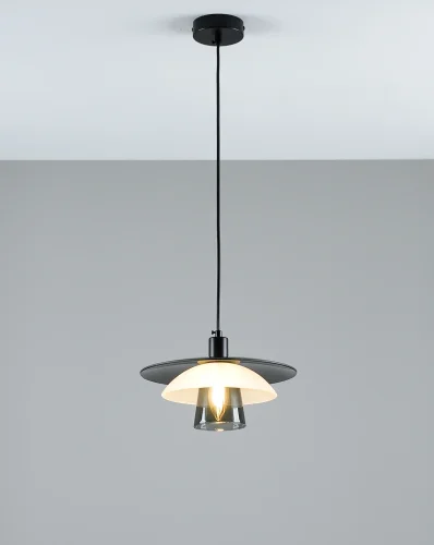Светильник подвесной Sydney V11027-1P Moderli серый прозрачный на 1 лампу, основание чёрное в стиле современный скандинавский фото 2 Светильник подвесной Sydney V11027-1P Moderli серый прозрачный на 1 лампу, основание чёрное в стиле современный скандинавский фото 2
