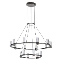 Люстра подвесная Defance 7143/110L Odeon Light прозрачная на 16 ламп, основание серое чёрное в стиле современный классический кольца
