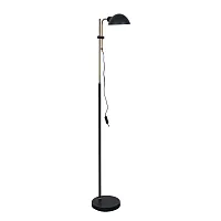 Торшер Zetta A7055PN-1BK Arte Lamp чёрный на 1 лампу, основание чёрное в стиле лофт современный 