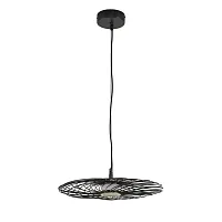 Светильник подвесной LED Camomile 8379/9L Lumion чёрный на 1 лампу, основание чёрное в стиле лофт 