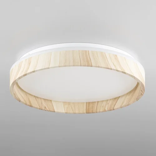 Светильник потолочный LED с пультом Enzo CL753352G Citilux белый на 1 лампу, основание бежевое в стиле современный хай-тек круглый с пультом фото 2