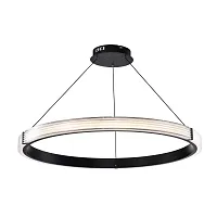 Светильник подвесной LED Rotonda 736287 Lightstar прозрачный 1 лампа, основание чёрное в стиле модерн кольца