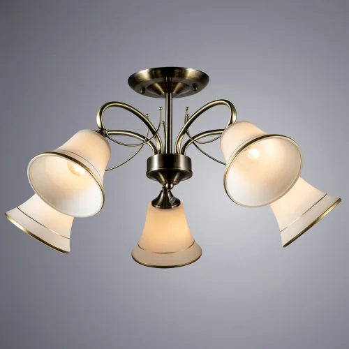 Люстра потолочная Dexter A2709PL-5AB Arte Lamp белая на 5 ламп, основание античное бронза в стиле современный  фото 2