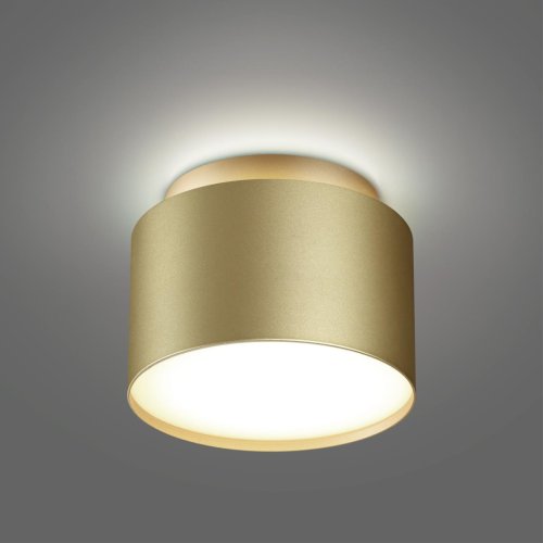Светильник накладной Lirio 371039 Novotech золотой на 1 лампу, основание золотое в стиле минимализм круглый фото 4
