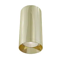 Светильник накладной Alfa C010CL-01G Maytoni золотой 1 лампа, основание золотое в стиле современный круглый