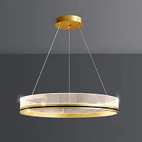 Люстра подвесная DILEMMA D80 Brass 219820-23 ImperiumLoft прозрачная на 1 лампу, основание латунь в стиле современный 
