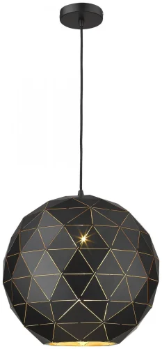 Светильник подвесной Delfio WE261.01.026 Wertmark чёрный 1 лампа, основание чёрное в стиле современный шар