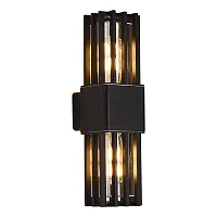 Настенный светильник уличный Irum SL9018.401.02 ST-Luce уличный IP65 чёрный на 2 лампы, плафон чёрный в стиле современный E27