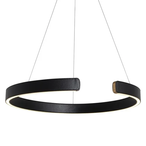 Светильник подвесной LED Ring 10025/600 Black LOFT IT чёрный 1 лампа, основание золотое в стиле современный хай-тек кольца фото 3