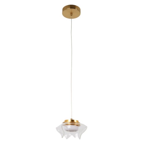 Светильник подвесной LED Ауксис 722012101 DeMarkt прозрачный 1 лампа, основание бронзовое в стиле флористика современный 