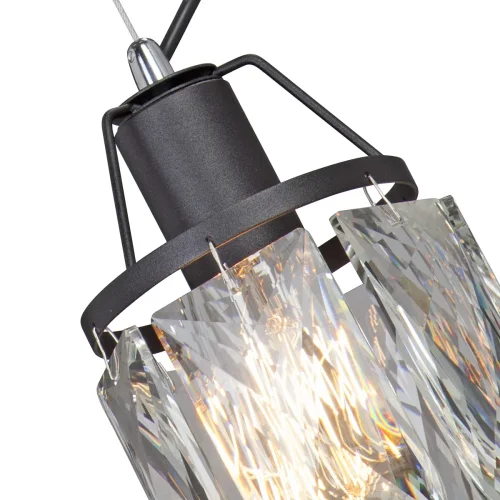 Светильник подвесной V5326-1/1S Vitaluce прозрачный на 1 лампу, основание чёрное в стиле современный классический фото 2