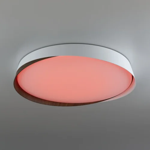 Светильник потолочный LED RGB с пультом Bonny CL754450G Citilux белый 1 лампа, основание белое в стиле современный хай-тек круглый с пультом фото 5