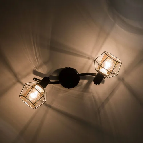 Спот с 2 лампами лофт Таверна CL542521 Citilux бежевый E14 в стиле лофт  фото 3