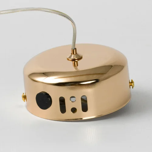 Светильник подвесной Appling LSP-8736 Lussole прозрачный 1 лампа, основание золотое в стиле современный  фото 7