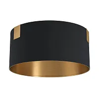 Светильник потолочный Tortola 1 39963 Eglo чёрный 1 лампа, основание чёрное в стиле современный 