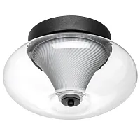 Светильник потолочный LED Palermo 612017 Lightstar прозрачный на 1 лампу, основание чёрное в стиле хай-тек современный 