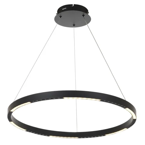 Люстра подвесная LED Lucas MR1250-PL MyFar без плафона на 1 лампа, основание чёрное в стиле современный хай-тек кольца фото 2