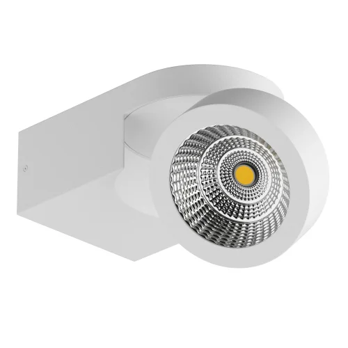 Светильник LED накладной Snodo 055163 Lightstar белый 1 лампа, основание белое в стиле 10086 круглый