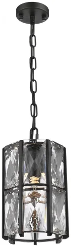 Светильник подвесной Karlin WE148.01.003 Wertmark прозрачный 1 лампа, основание чёрное в стиле современный 