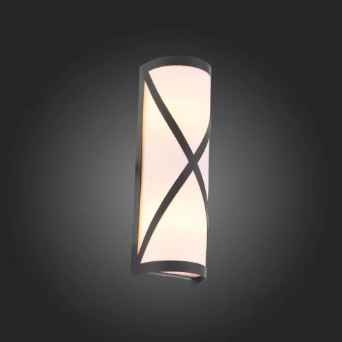 Настенный светильник уличный Agio SL076.411.01 ST-Luce уличный IP20 чёрный на 2 лампы, плафон белый в стиле современный E27 фото 2