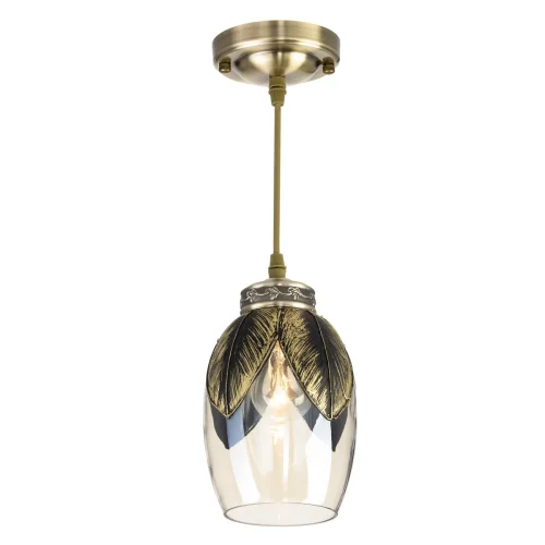 Светильник подвесной Гаруда CL420013 Citilux прозрачный 1 лампа, основание бронзовое в стиле современный  фото 5