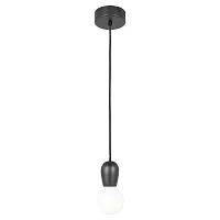 Светильник подвесной Maricopa LSP-8118 Lussole без плафона 1 лампа, основание чёрное в стиле современный 