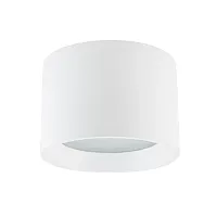 Светильник накладной Maun 10481-NW Nowodvorski белый на 1 лампу, основание белое в стиле современный круглый Светильник накладной Maun 10481-NW Nowodvorski белый на 1 лампу, основание белое в стиле современный круглый