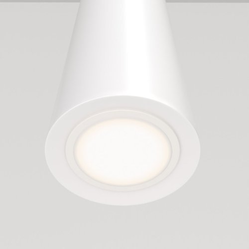 Светильник подвесной Nevill P318-PL-01-W Maytoni белый 1 лампа, основание белое в стиле современный трубочки фото 2