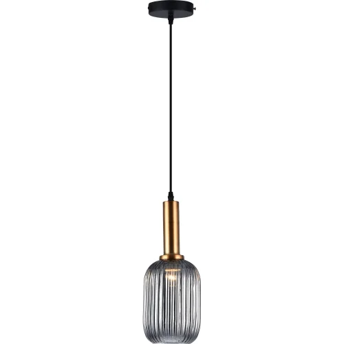 Светильник подвесной Kristal TL1221H-01SM Toplight чёрный серый на 1 лампу, основание чёрное в стиле современный выдувное