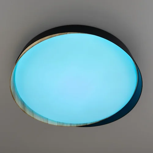 Светильник потолочный LED RGB с пультом Bonny CL754351G Citilux белый 1 лампа, основание чёрное в стиле современный хай-тек круглый с пультом фото 6