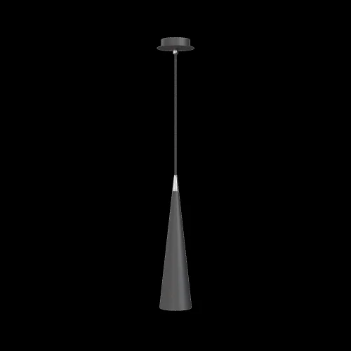 Светильник подвесной Nevill P318PL-01B Maytoni чёрный 1 лампа, основание чёрное в стиле современный  фото 7