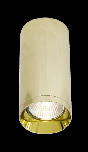 Светильник накладной Alfa C010CL-01G Maytoni золотой 1 лампа, основание золотое в стиле современный круглый фото 6