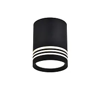 Светильник накладной Darar 3066-1C Favourite чёрный 1 лампа, основание чёрное в стиле модерн круглый