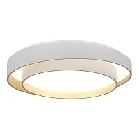 Светильник потолочный LED Crosby SLE6009-502-01 Evoluce белый на 1 лампу, основание белое в стиле минимализм 