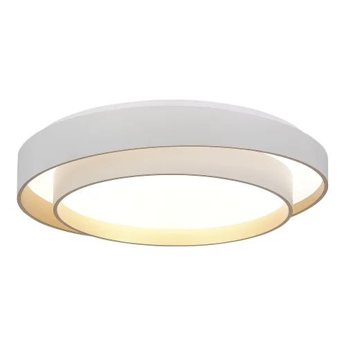 Светильник потолочный LED Crosby SLE6009-502-01 Evoluce белый на 1 лампу, основание белое в стиле минимализм 