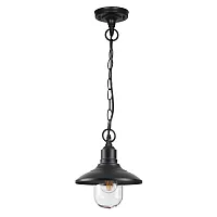 Подвесной светильник Campa 4965/1 Odeon Light уличный IP44 чёрный 1 лампа, плафон прозрачный в стиле классика E27