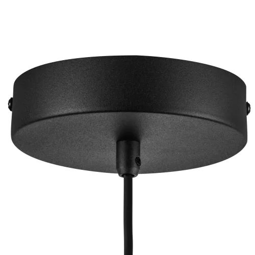 Светильник подвесной LED Palermo 612117 Lightstar прозрачный на 1 лампу, основание чёрное в стиле хай-тек современный фото 4