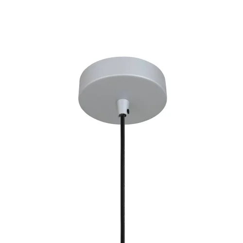 Светильник подвесной Otium 2270-1P Favourite серебряный 1 лампа, основание серебряное в стиле современный  фото 3