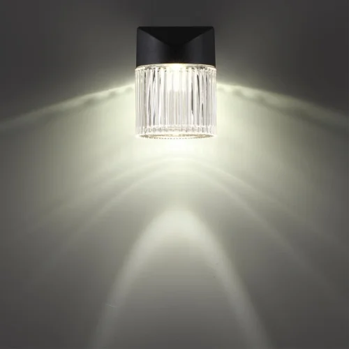 Настенный светильник уличный LED Estima 359291 Novotech уличный IP65 чёрный на 1 лампу, плафон прозрачный в стиле современный LED фото 5