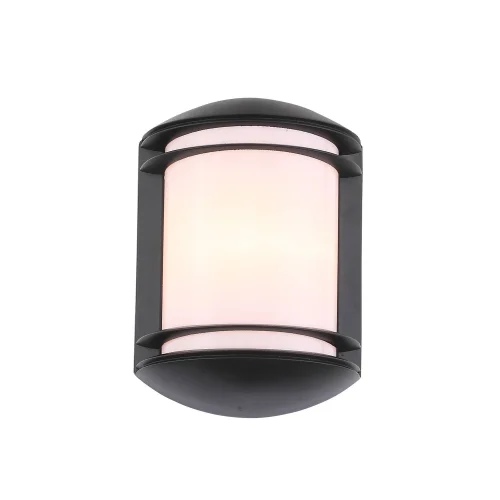 Настенный светильник Agio SL076.401.01 ST-Luce уличный IP54 чёрный 1 лампа, плафон белый в стиле современный E27