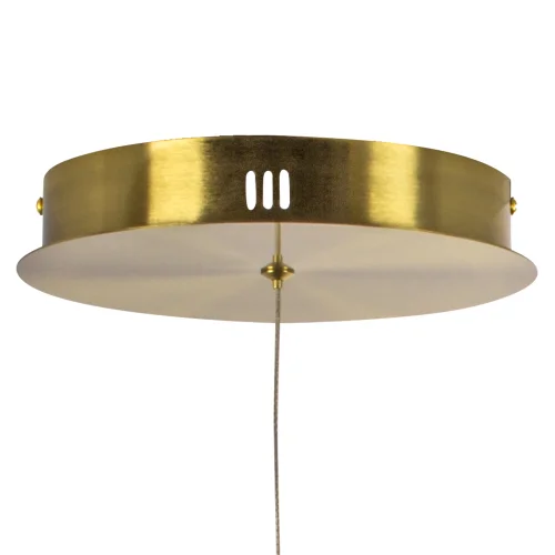 Светильник подвесной LED Corinto 637093 Lightstar белый на 1 лампу, основание золотое в стиле хай-тек современный линейный гибкий неон фото 4