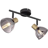 Спот с 2 лампами Jay 54305-2 Globo чёрный серый E14 в стиле лофт современный 