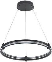 Светильник подвесной LED с пультом Ring 4006/02/01P Stilfort чёрный 1 лампа, основание чёрное в стиле хай-тек современный с пультом кольца
